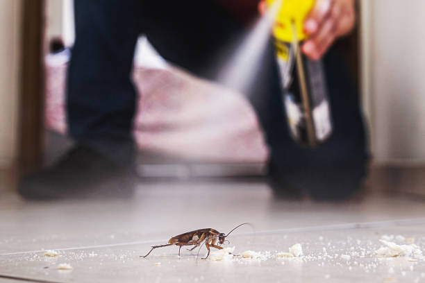 Best Bed Bug Extermination  in Holladay, UT